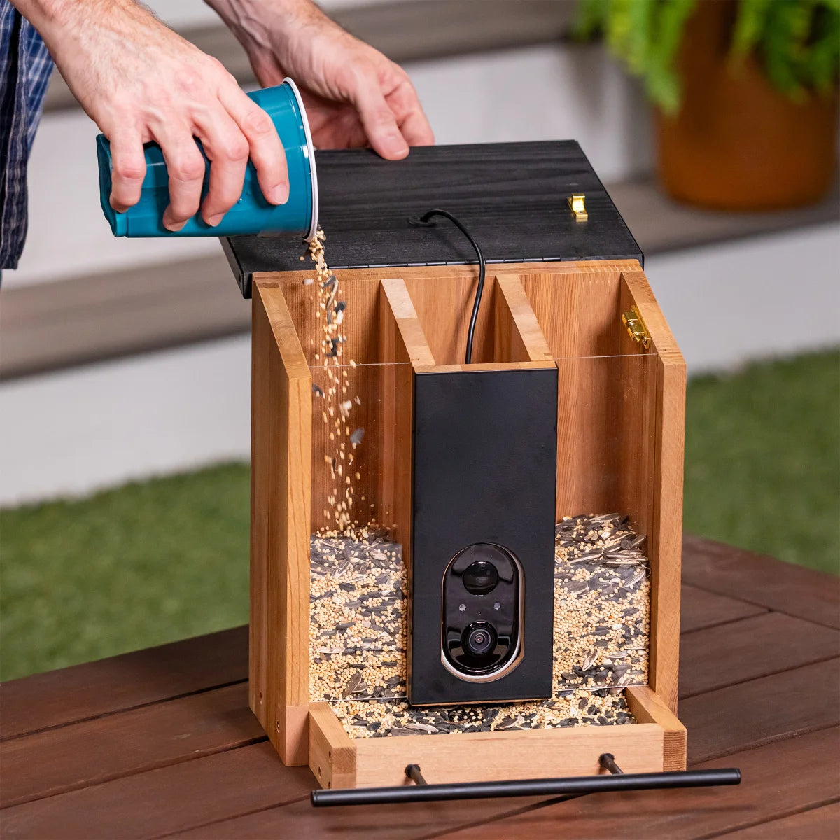 Solar Smart Bird Feeder – Camera Enabled & Solar Powered