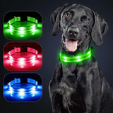 Omeril LED Dog Collar – BC762 Light-Up Safety Collar (Rechargeable, Reflective)