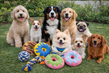 Toozey Puppy Teething Chew Toys for Small Dogs Colorful Donut Durable Puppy Toy Set