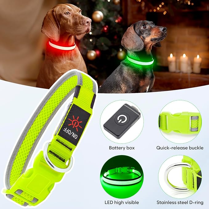 Omeril LED Dog Collar – BC762 Light-Up Safety Collar (Rechargeable, Reflective)